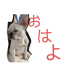 よもぎシリーズ②（個別スタンプ：19）