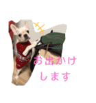 よもぎシリーズ②（個別スタンプ：22）