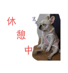 よもぎシリーズ②（個別スタンプ：26）