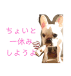 よもぎシリーズ②（個別スタンプ：27）