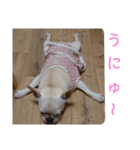 よもぎシリーズ②（個別スタンプ：33）