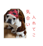 よもぎシリーズ②（個別スタンプ：34）
