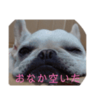 よもぎシリーズ②（個別スタンプ：36）