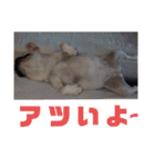 よもぎシリーズ②（個別スタンプ：37）