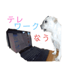 よもぎシリーズ②（個別スタンプ：39）