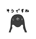 ペンギンですが（個別スタンプ：2）