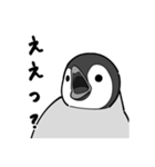 ペンギンですが（個別スタンプ：7）