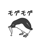 ペンギンですが（個別スタンプ：11）