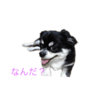 宙ちゃんスタンプ（個別スタンプ：1）
