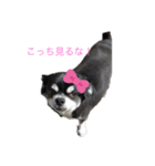 宙ちゃんスタンプ（個別スタンプ：2）