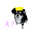宙ちゃんスタンプ（個別スタンプ：8）