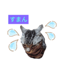 こたスタンプ-（個別スタンプ：7）