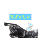 こたスタンプ-（個別スタンプ：12）