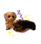 ヨークシャテリアのパピー ☆lalachan2☆（個別スタンプ：3）