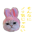 かゆいところに手が届くねこ先輩ver.甲（個別スタンプ：8）