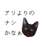かゆいところに手が届くねこ先輩ver.甲（個別スタンプ：9）