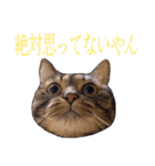 かゆいところに手が届くねこ先輩ver.甲（個別スタンプ：15）