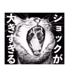 かゆいところに手が届くねこ先輩ver.甲（個別スタンプ：38）