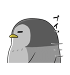 太っちょペンギン【煽り編】（個別スタンプ：40）