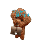 おてんばプードル（個別スタンプ：8）