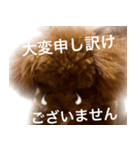 おてんばプードル（個別スタンプ：14）