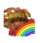 おてんばプードル（個別スタンプ：23）