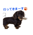 kotasandesu（個別スタンプ：7）