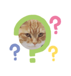 ダラダラ猫ちゃん！（個別スタンプ：2）