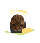 ダラダラ猫ちゃん！（個別スタンプ：6）