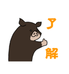 島黒豚スタンプ（個別スタンプ：1）