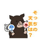 島黒豚スタンプ（個別スタンプ：7）