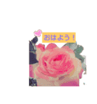 My firework（個別スタンプ：1）