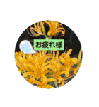 My firework（個別スタンプ：5）