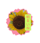 My firework（個別スタンプ：14）