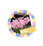 My firework（個別スタンプ：15）