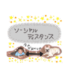 赤ちゃんスタンプ❤️Rio（個別スタンプ：12）