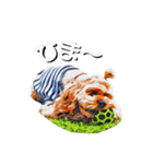 アメコカ・ジェイムス（個別スタンプ：2）