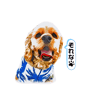 アメコカ・ジェイムス（個別スタンプ：3）