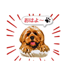 アメコカ・ジェイムス（個別スタンプ：6）