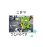 ぱぴぱぴパピヨン8（個別スタンプ：31）