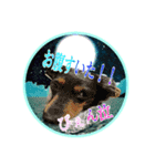 ポジティブ★スタンプ（個別スタンプ：7）