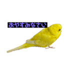 俺のピーちゃん（個別スタンプ：2）