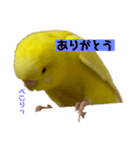 俺のピーちゃん（個別スタンプ：4）