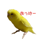 俺のピーちゃん（個別スタンプ：9）