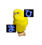 俺のピーちゃん（個別スタンプ：14）