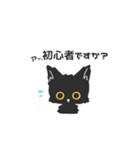 ゲームがしたいねこ（個別スタンプ：17）