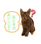 ホッケスタンプ2（個別スタンプ：4）
