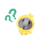 ハムスター ぼん（個別スタンプ：8）