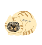 おいら、ちーすけ（個別スタンプ：3）