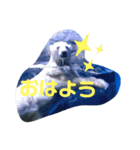 アニマルスタンプ日常語（個別スタンプ：3）